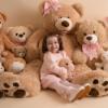 Picture of Little A Bear Hugs Collection Goldie Fur Detail Bear Dress - Baby Pink