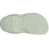 Picture of Crocs Classic Clog - Plaster Green