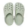 Picture of Crocs Classic Clog - Plaster Green