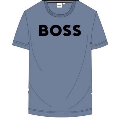 Picture of BOSS Boys Classic Logo T-shirt - Slate Blue