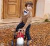 Picture of Abel & Lula Toddler Boys Winter Collection Cardigan - Camel