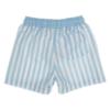 Picture of Meia Pata Boys Blue Stripes Swim Trunks - White Blue