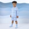 Picture of Mitch & Son Beyond Blue Frankie Stripe Hooded Summer Jacket - Sky Blue