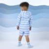 Picture of Mitch & Son Beyond Blue Frankie Stripe Hooded Summer Jacket - Sky Blue