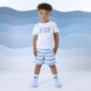 Picture of Mitch & Son Beyond Blue Fallon Stripe Swim Shorts - Sky Blue